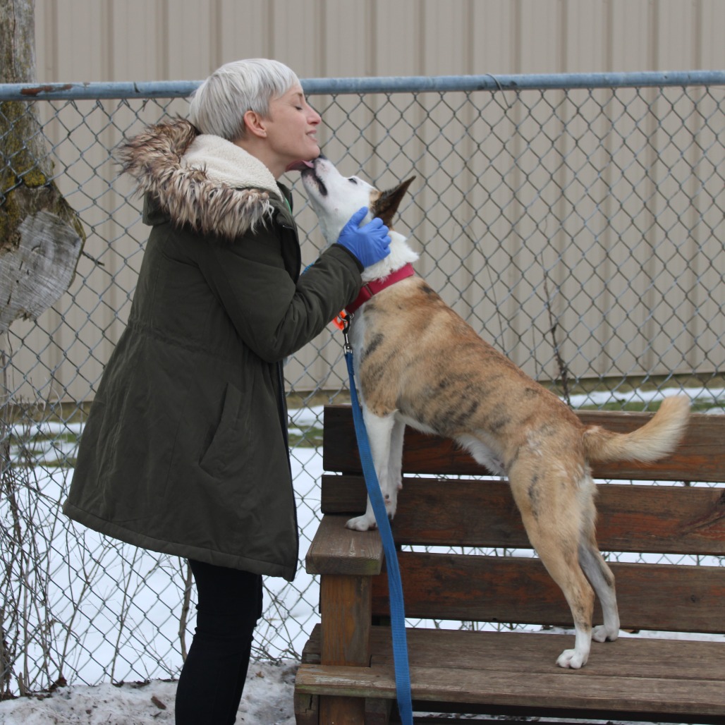 Tygren — thumbnail 5