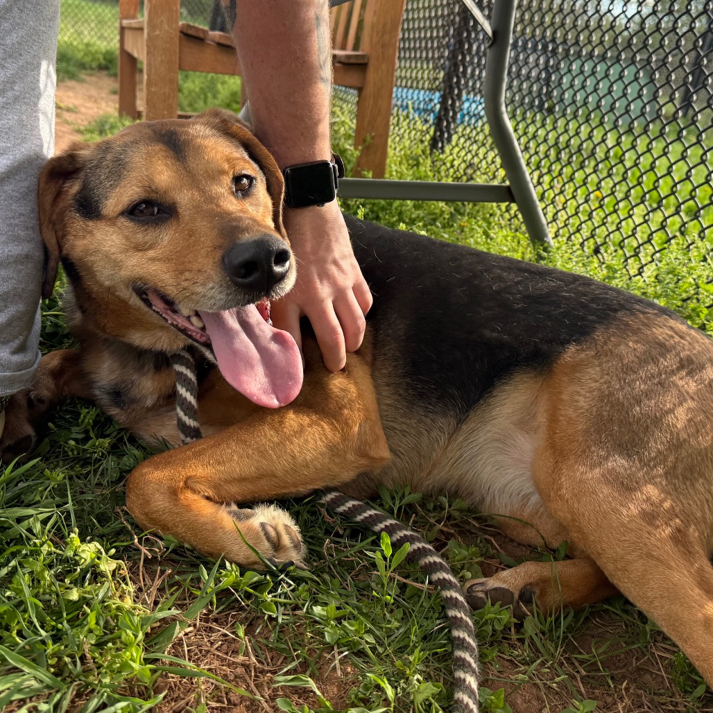 91fc0fd78d6c6aca0e7e9985c21b70a3