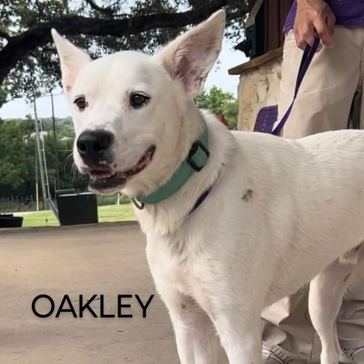 Photo of Oakley