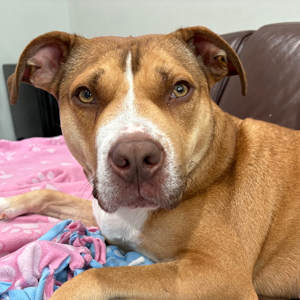 Shara — thumbnail 5