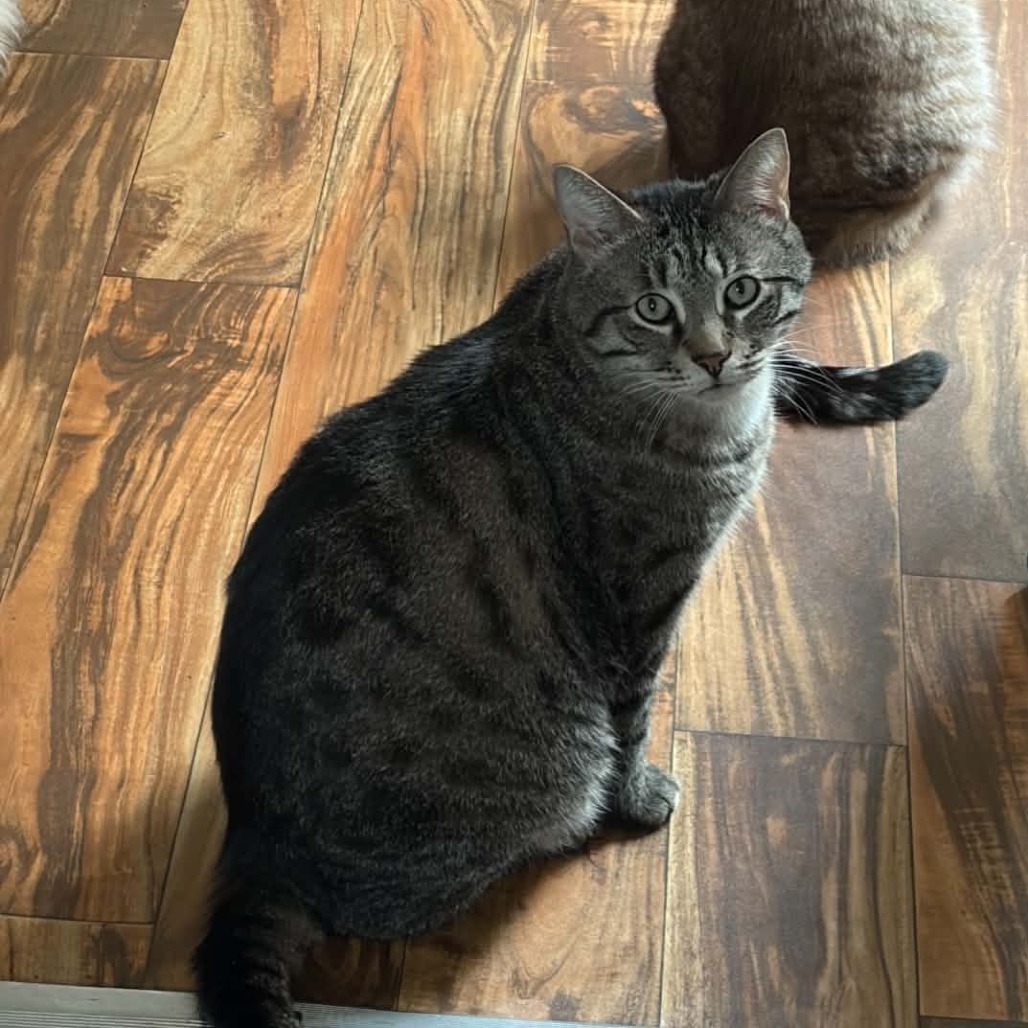 Photo of Chase 4
