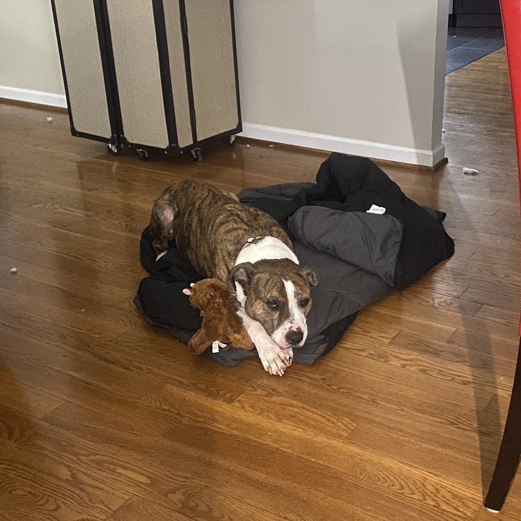 Jax, additional photo