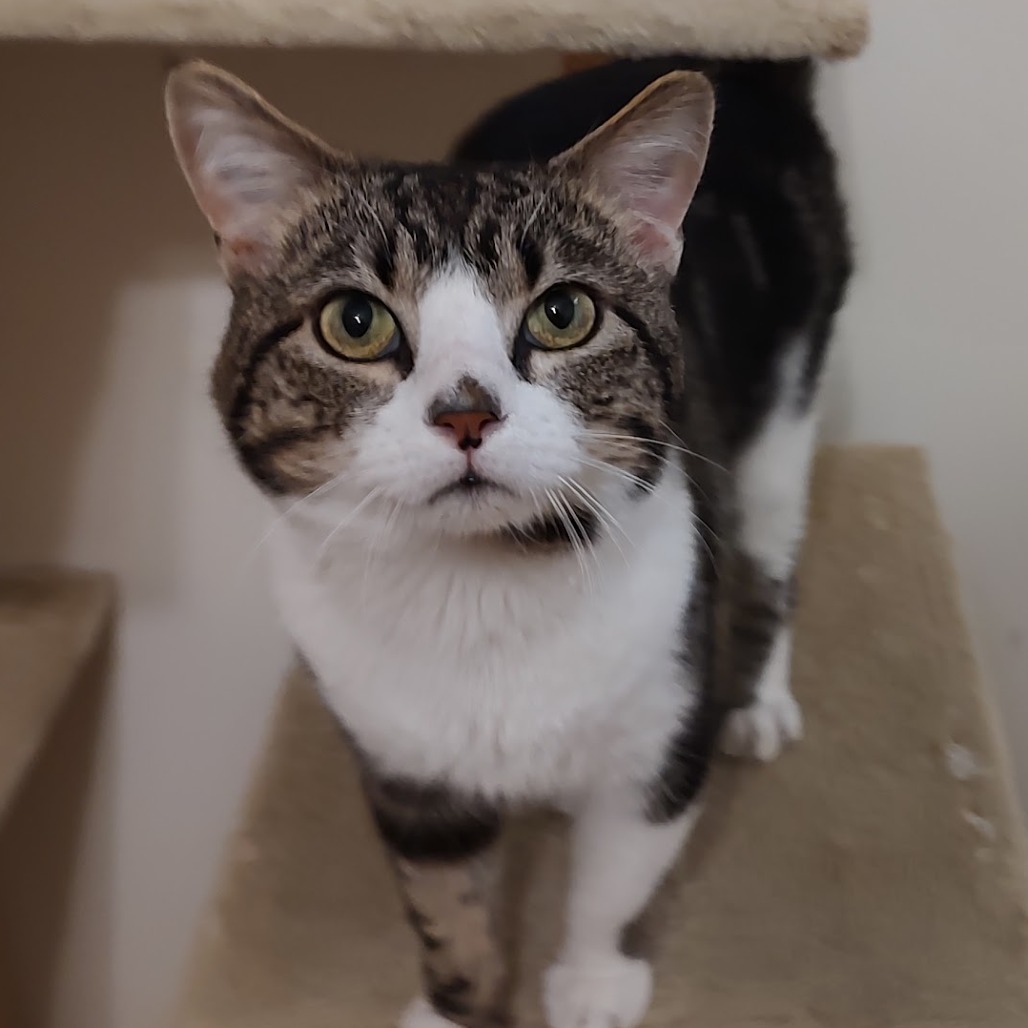 Jerry — thumbnail 2