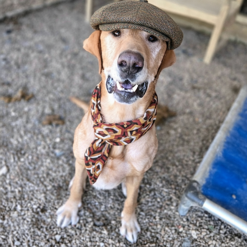 Belly Boops — thumbnail 10