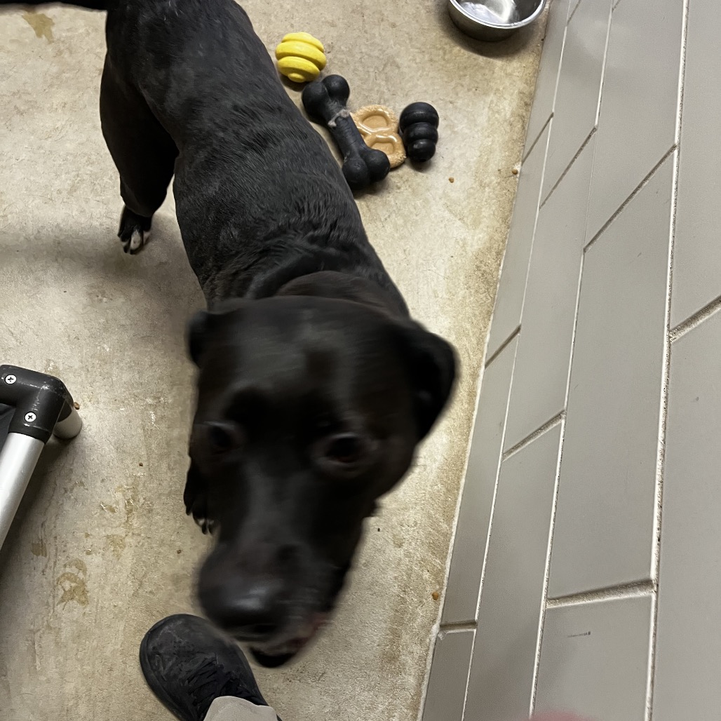 Sissy — thumbnail 4