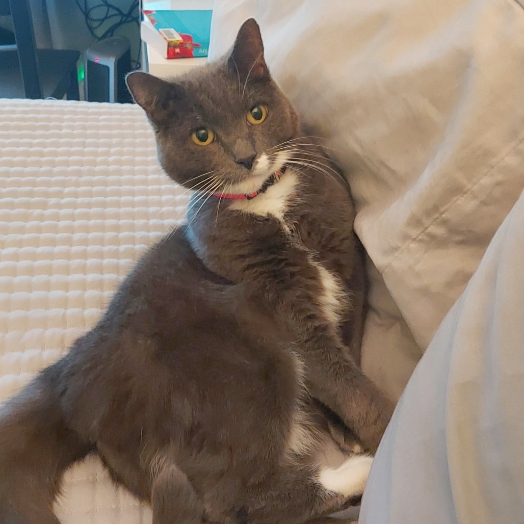 Applesauce, photo 24