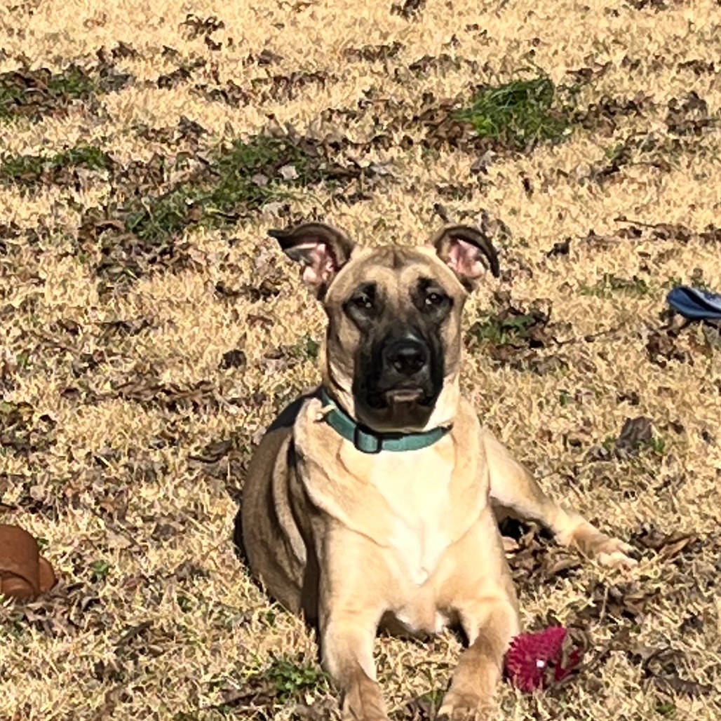 Tucker, photo 6