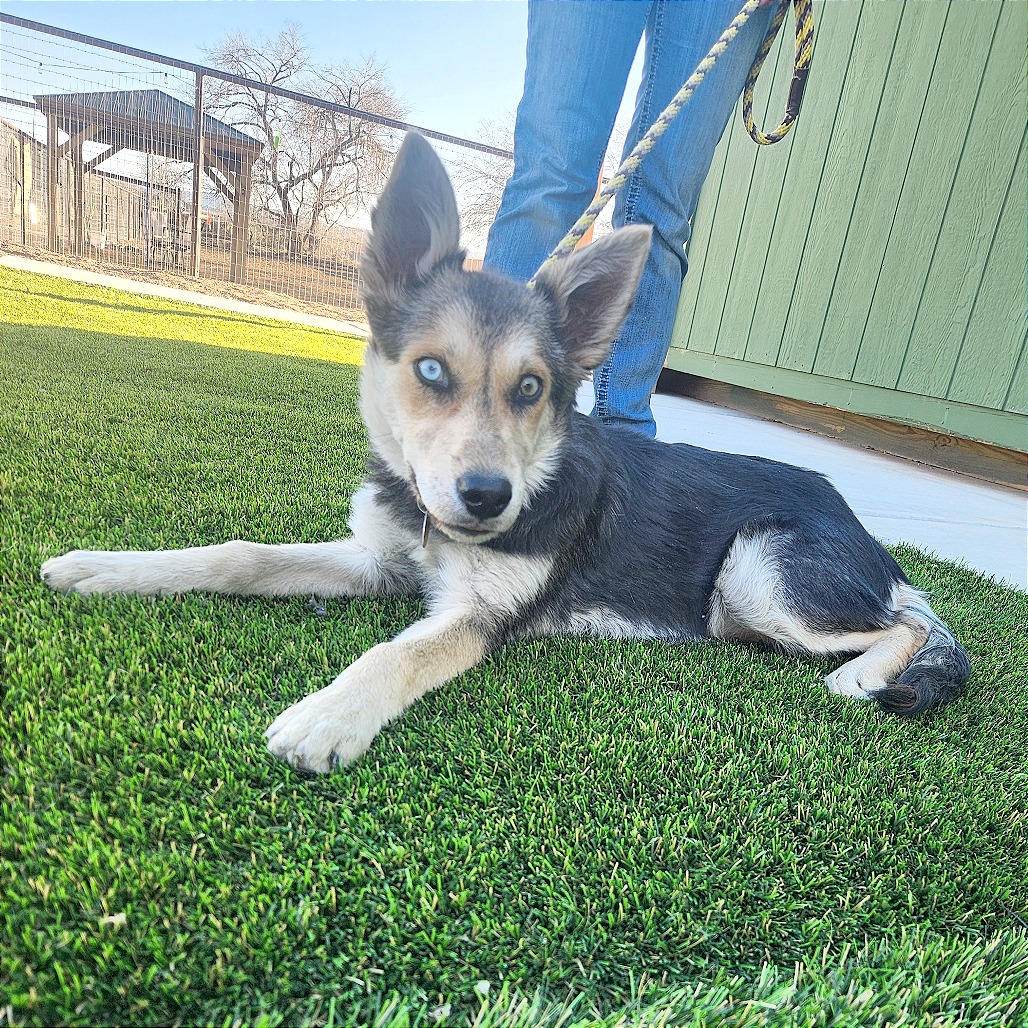 Lita — thumbnail 3