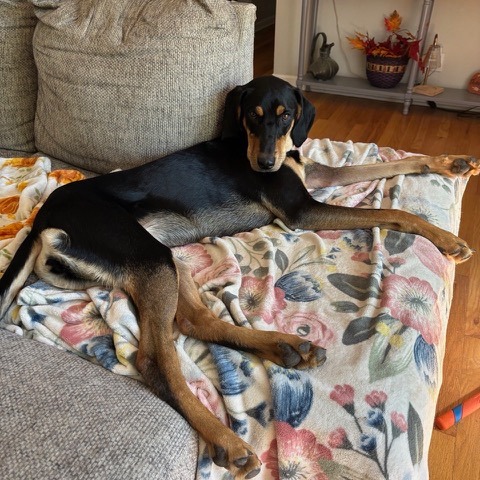 Jade, photo 24