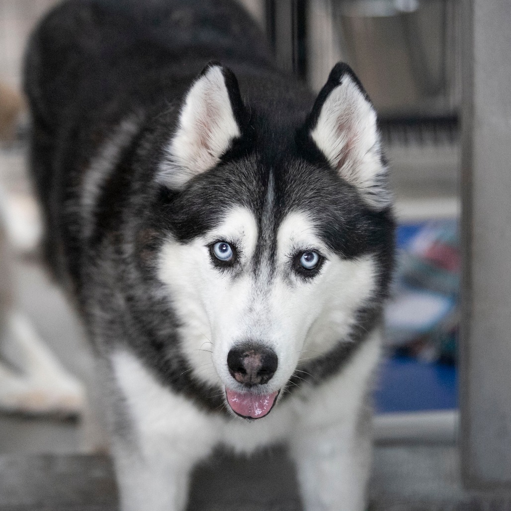 Oliver (F26-09), photo 17
