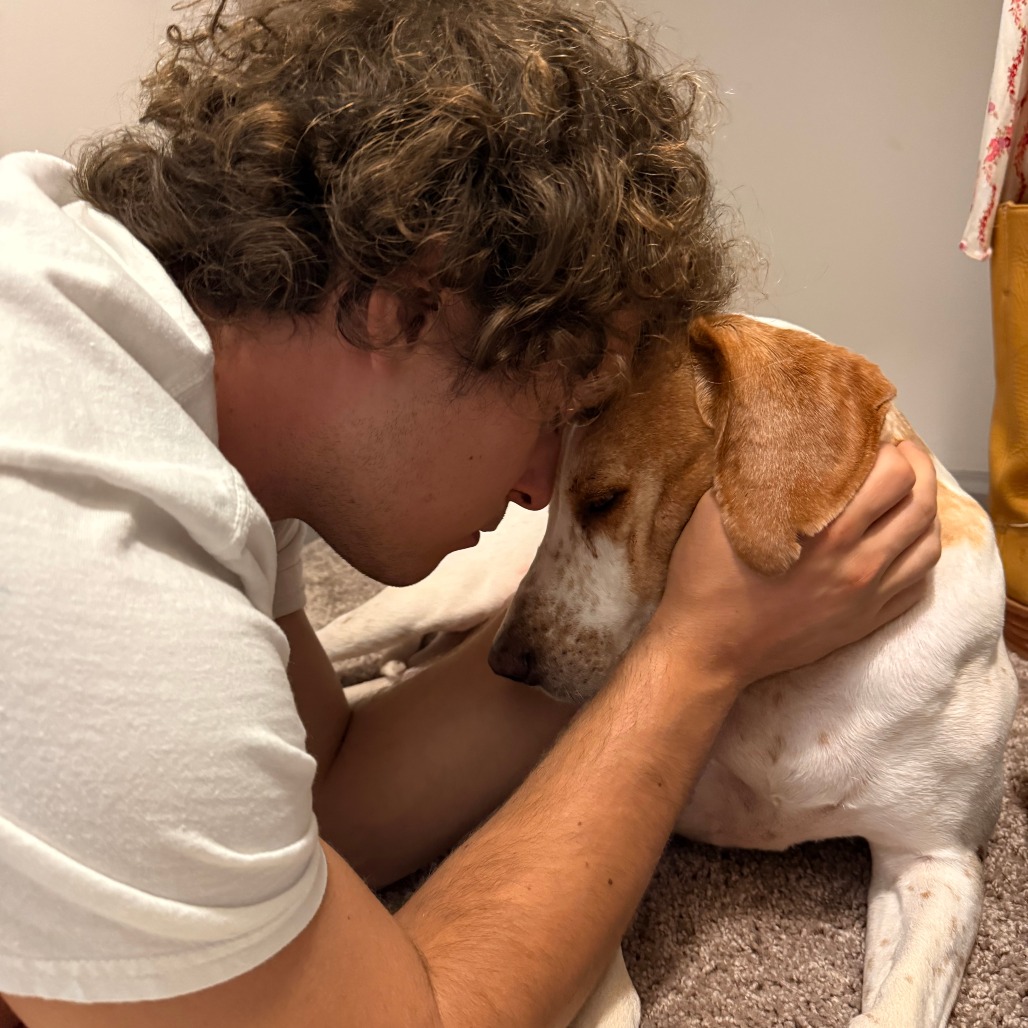 Gidget, photo 20