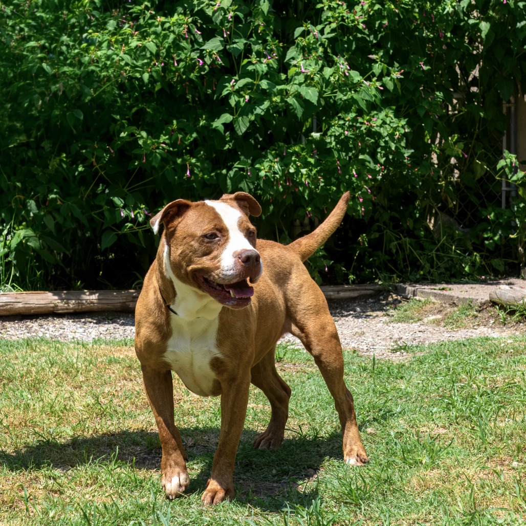 Photo of Remy