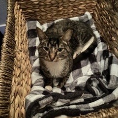 Cocoon--In Foster, photo 17