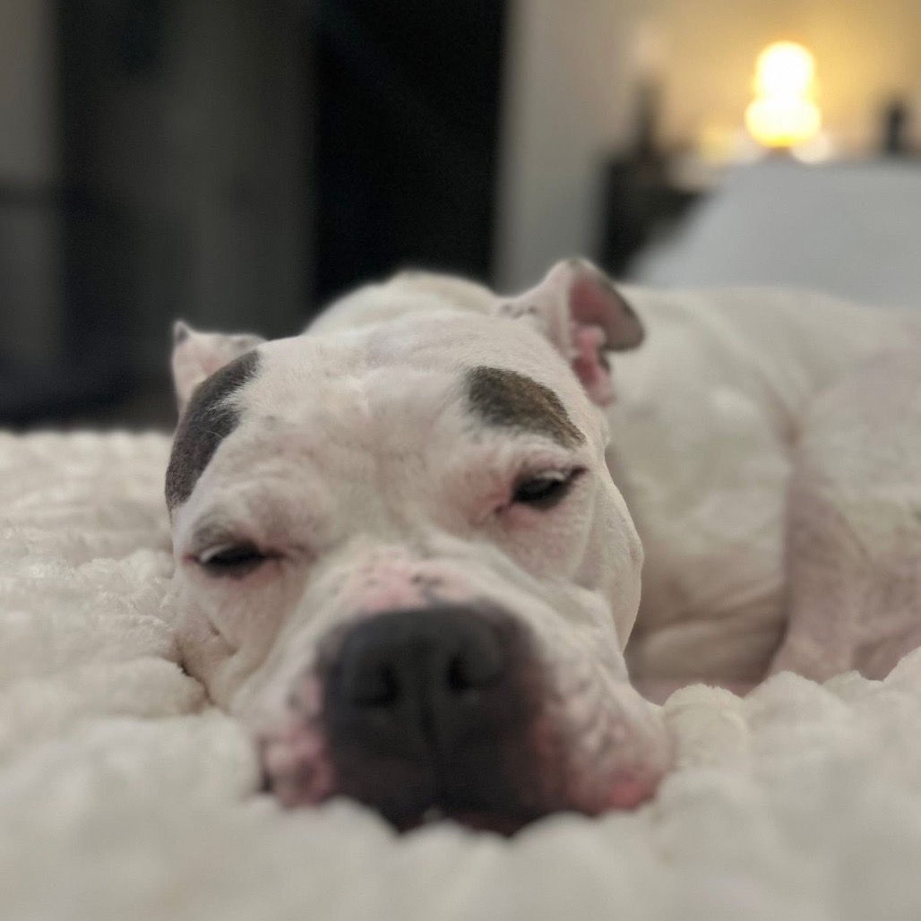 Cali — thumbnail 4