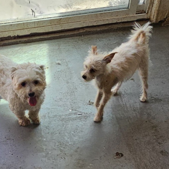 SANDERS — thumbnail 4