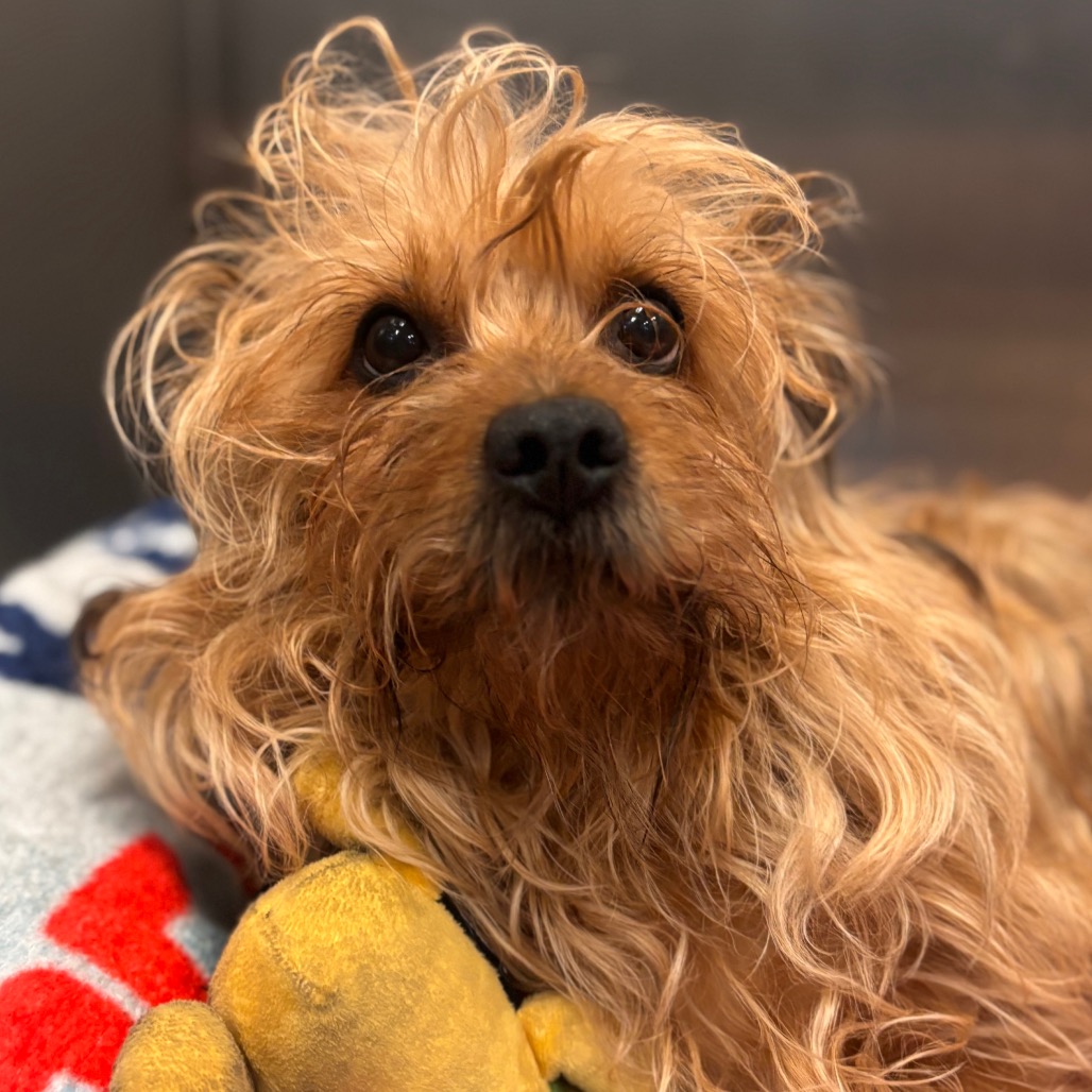 9ecf7ac2ab7319e298ac4e19f019f243