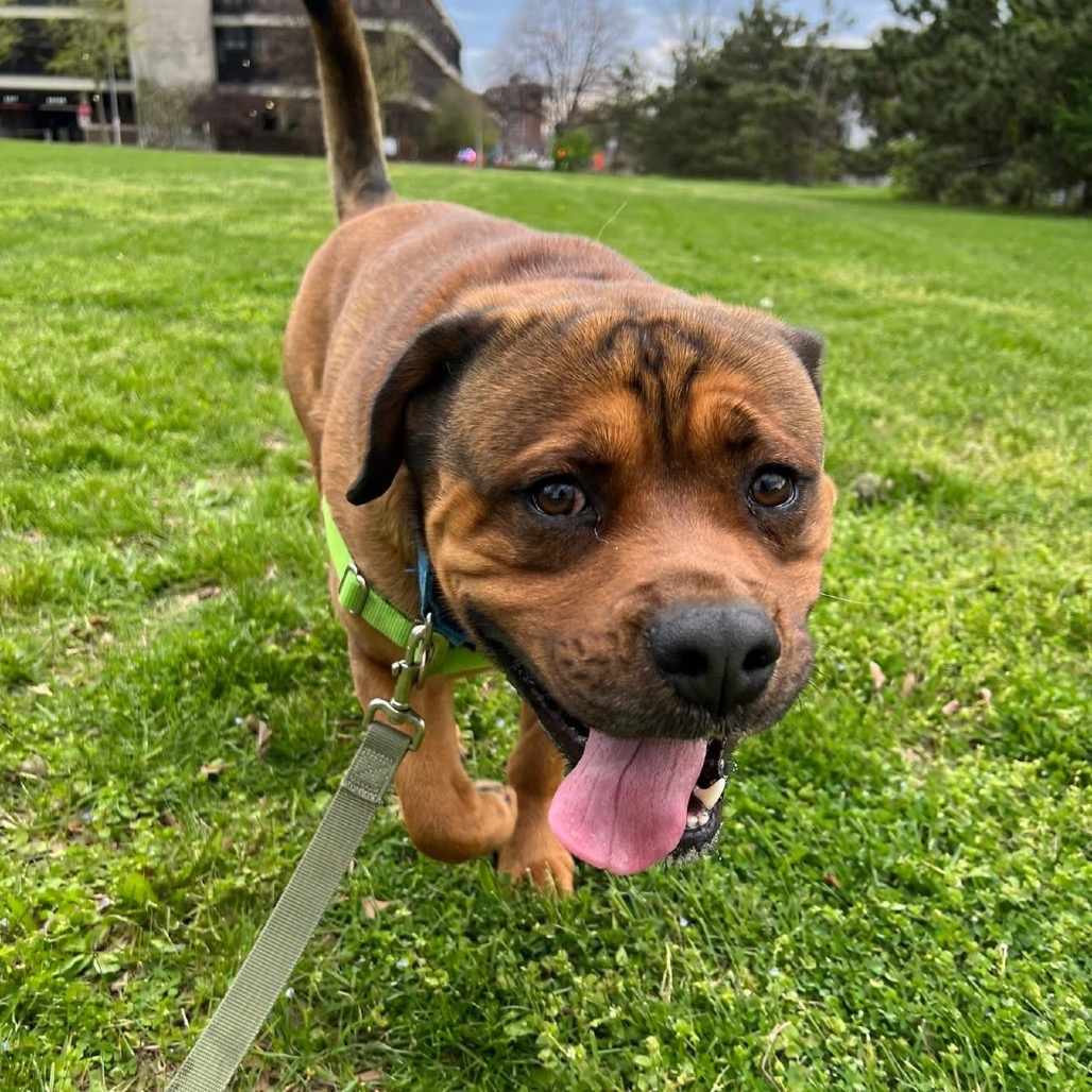 Photo of Koda 9