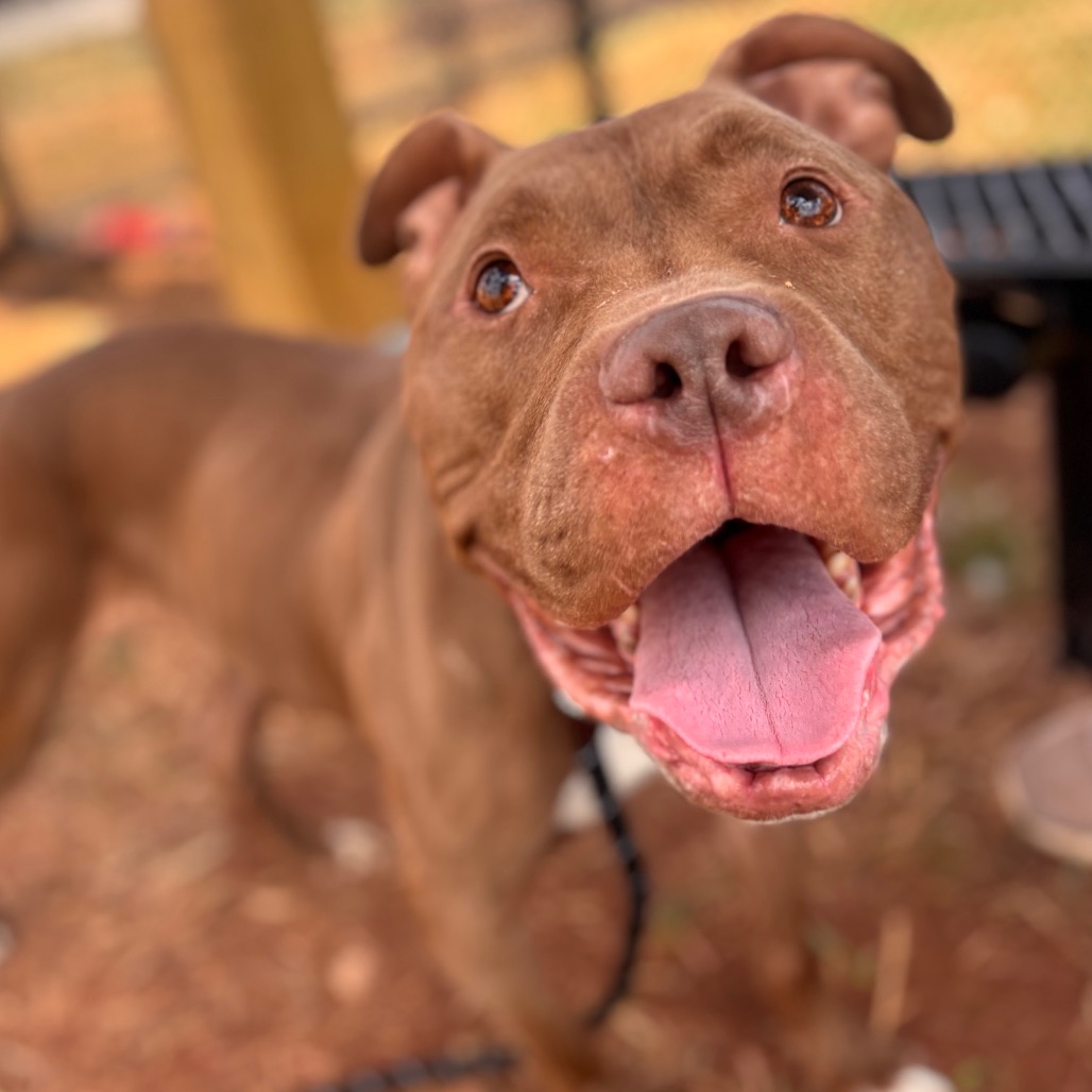 7ff48cc6405e6ee364253e987c72a678