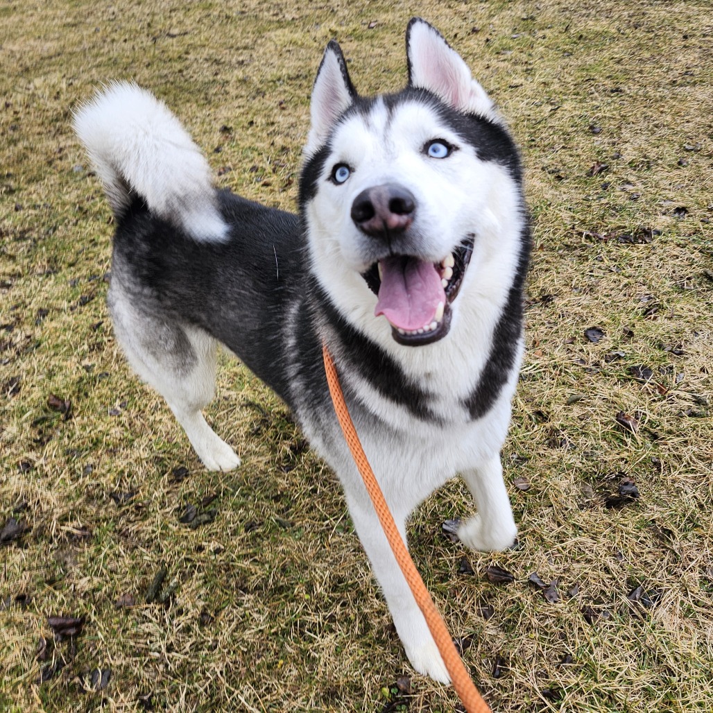 Franklin — thumbnail 3