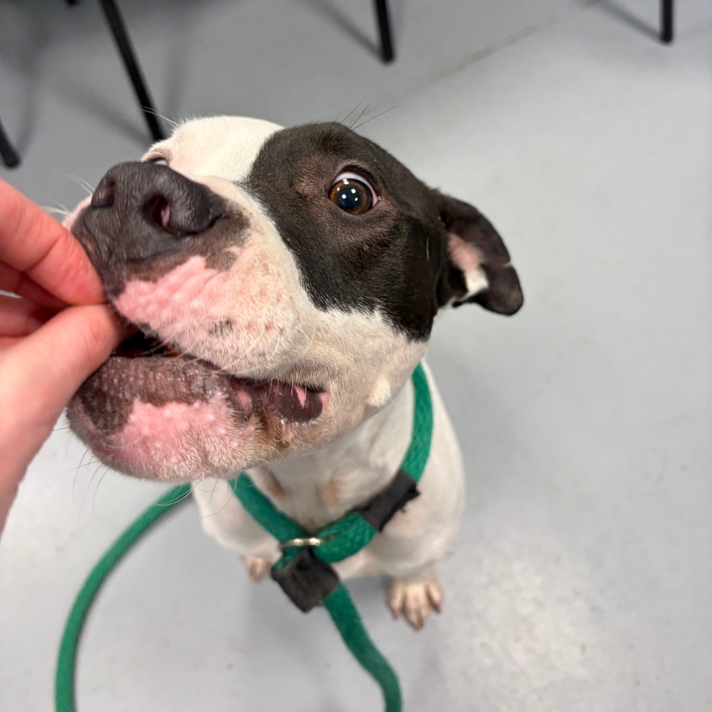 Zero — thumbnail 4