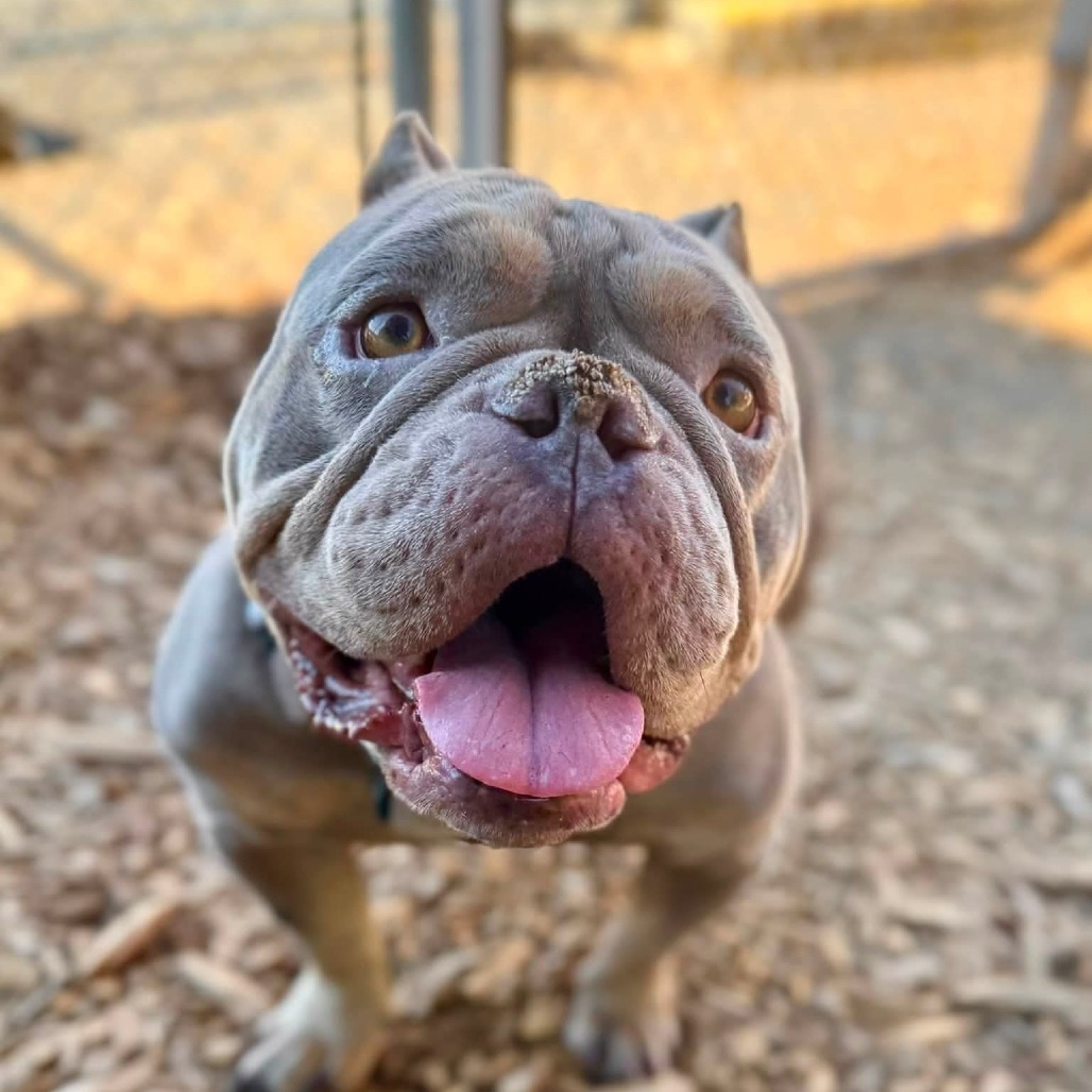 Fiona