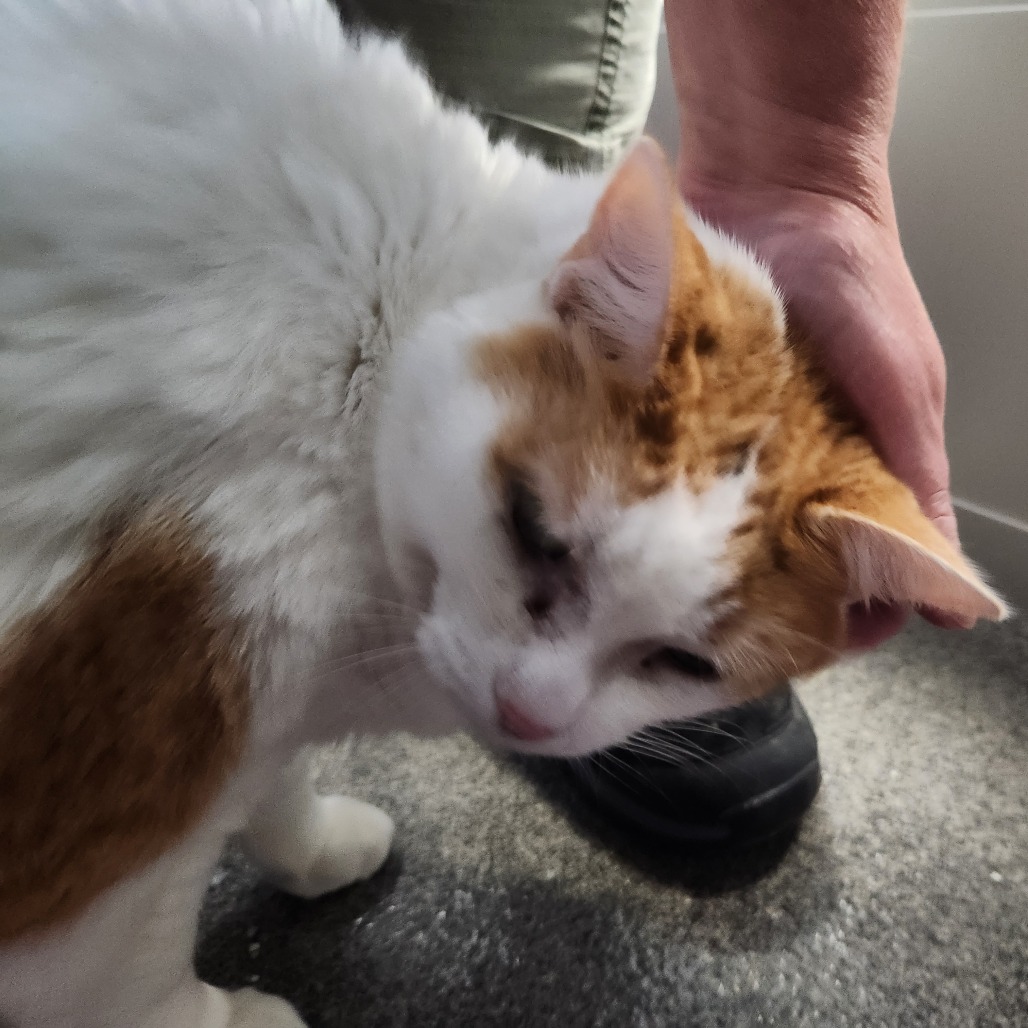 Susie-Foster — thumbnail 4