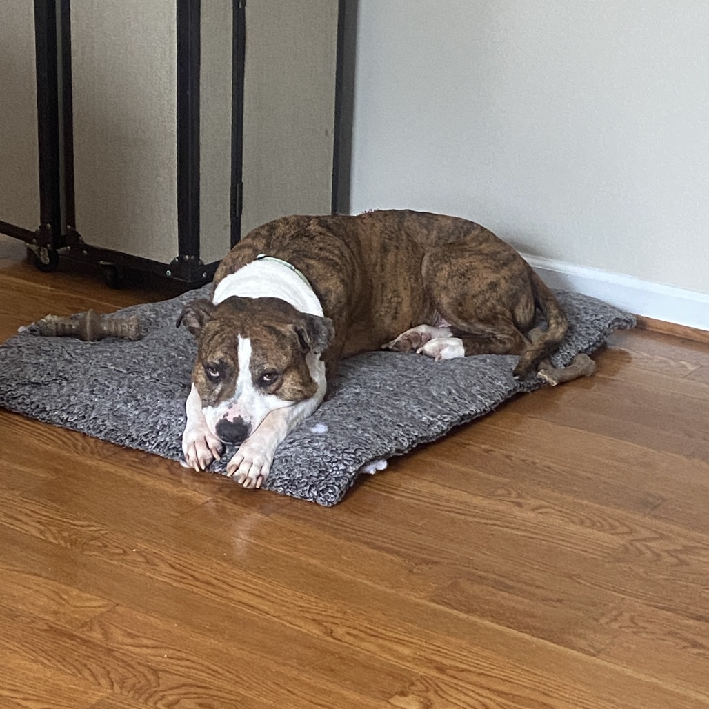 Jax, additional photo