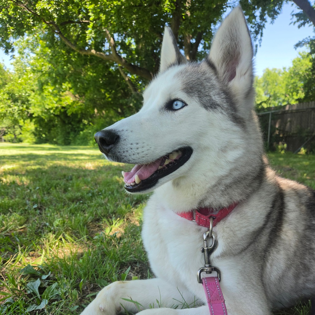 Casper photo 35