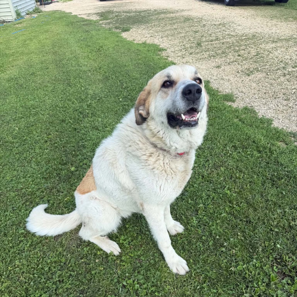 Bonnie