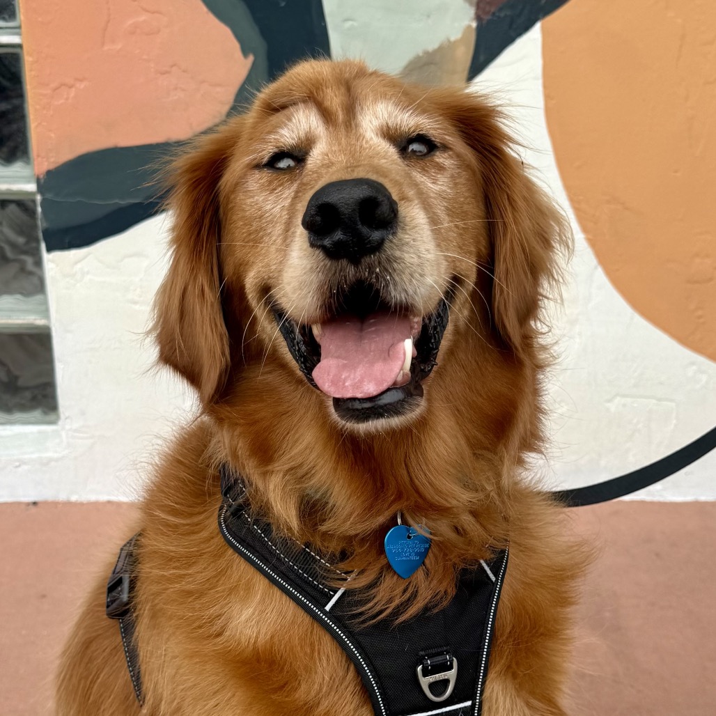 Image of Franklin looking at the camera