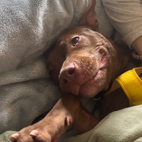 Jeffery — thumbnail 3