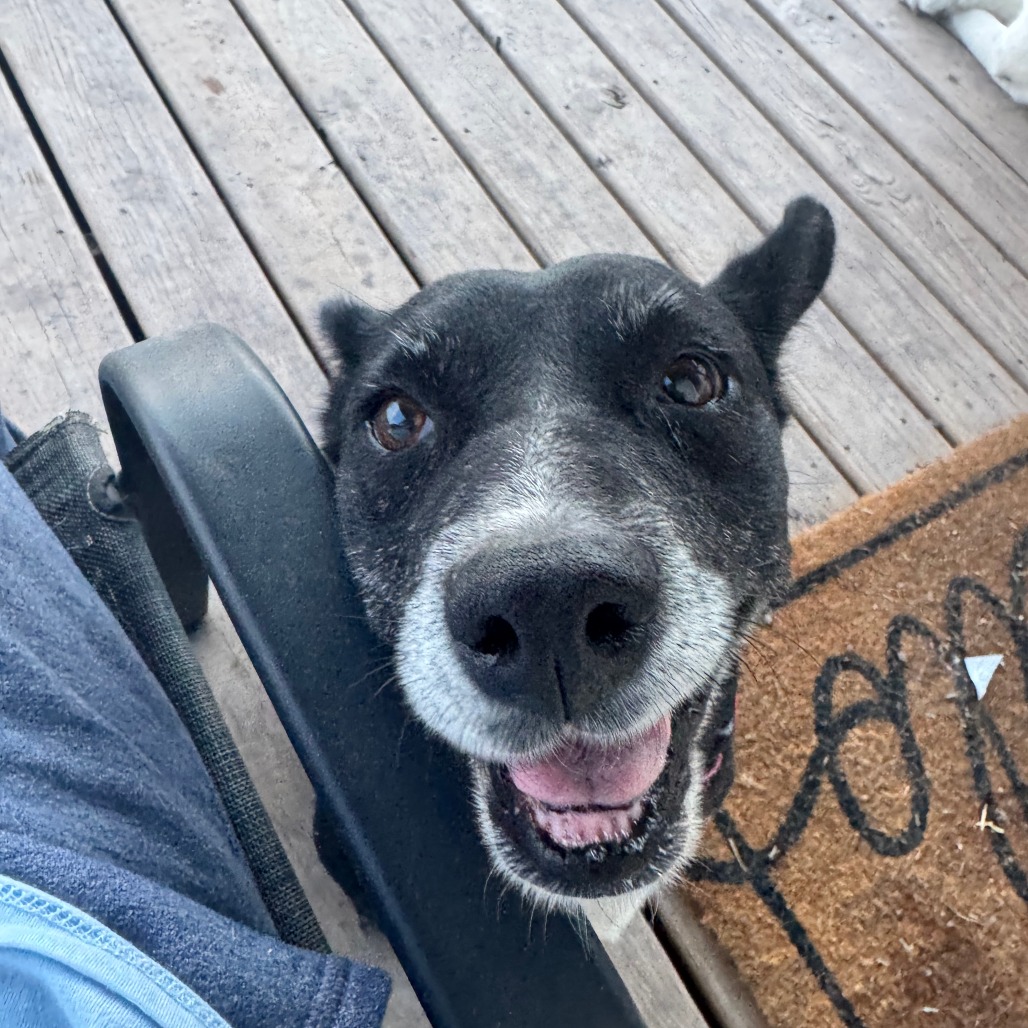 Hope