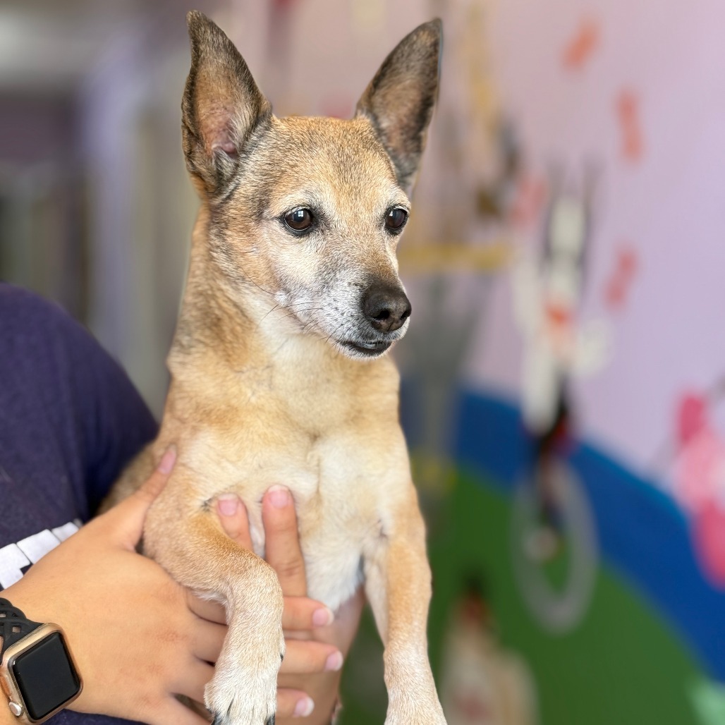 Brian — thumbnail 2