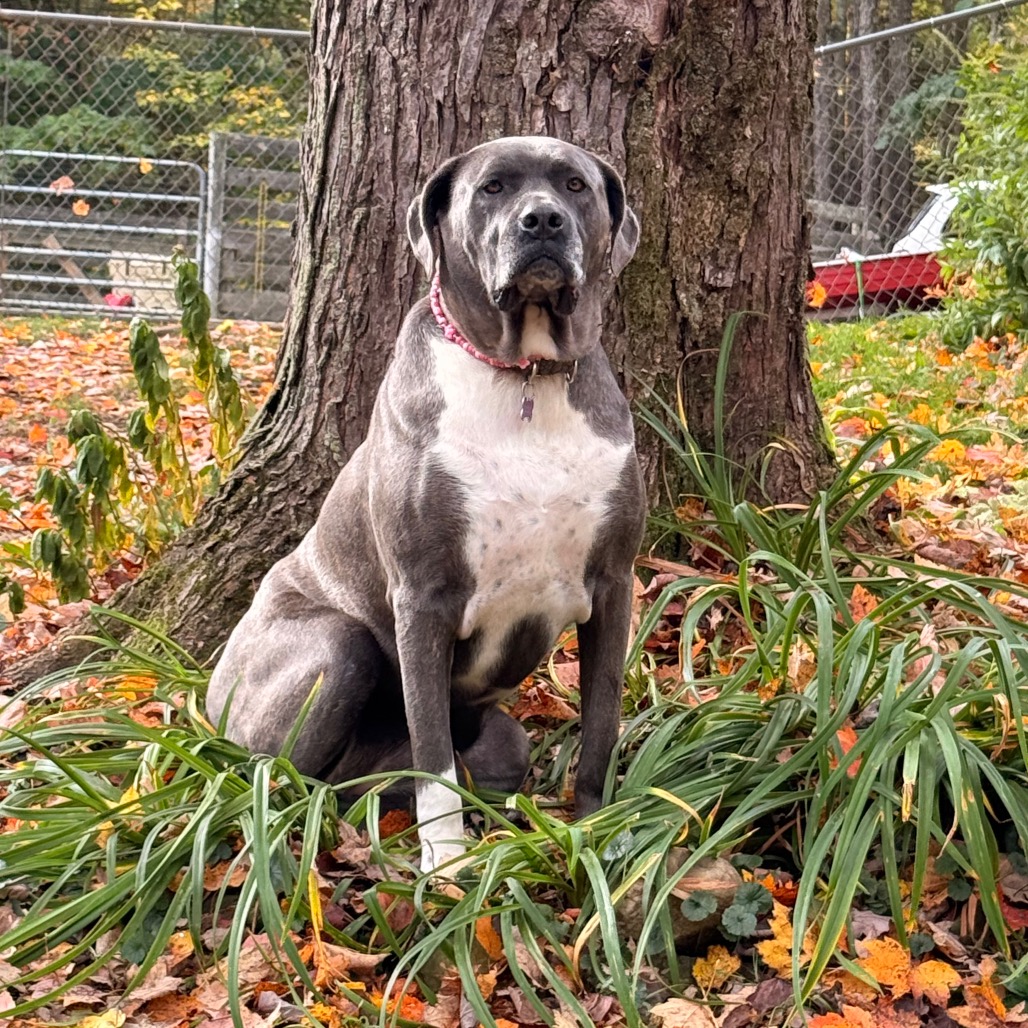 Big Luna