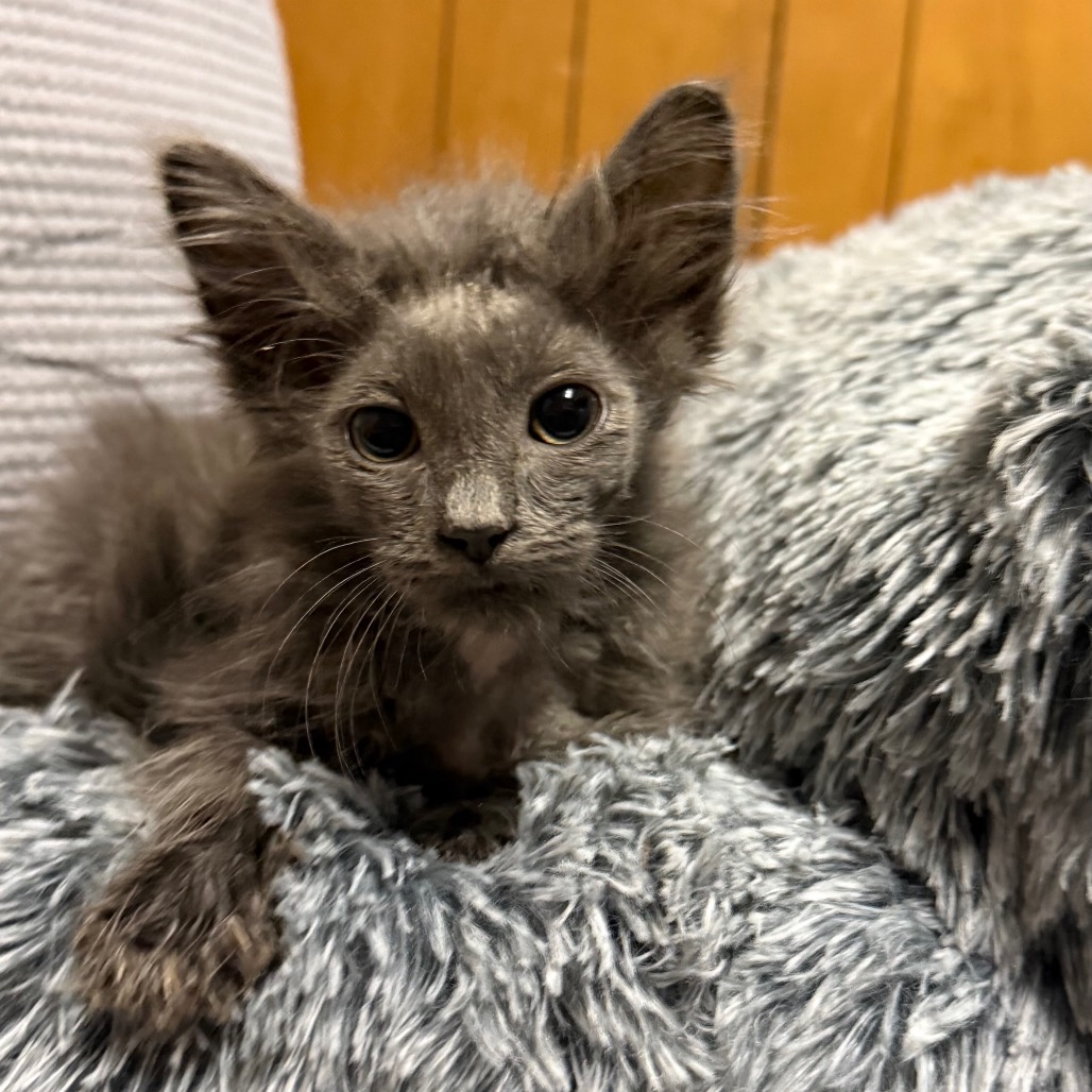 Photo of MYSTIC