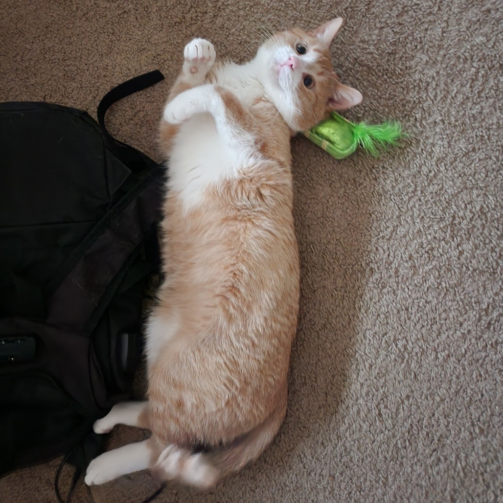 Photo of Heffalump 8