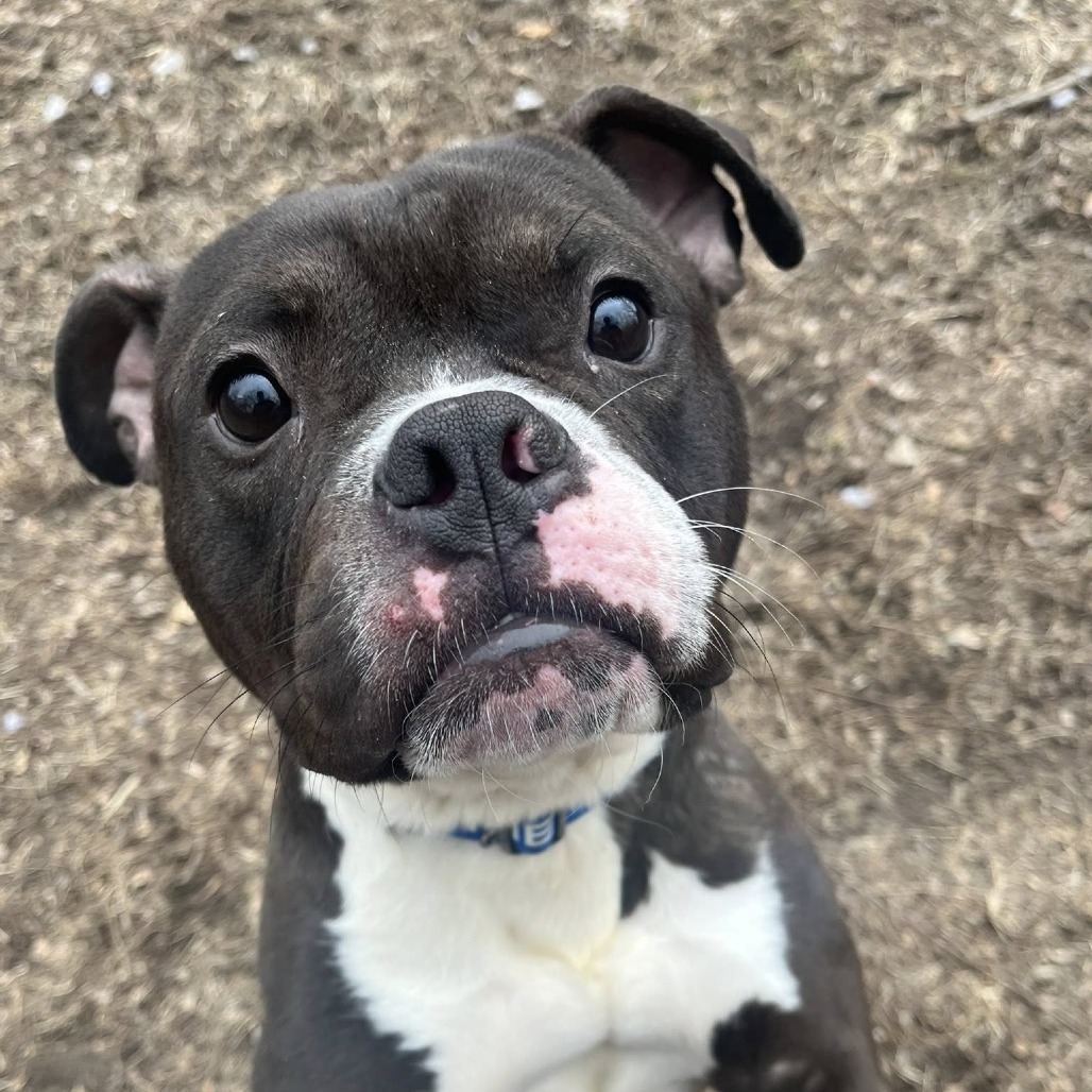 Mark — thumbnail 5