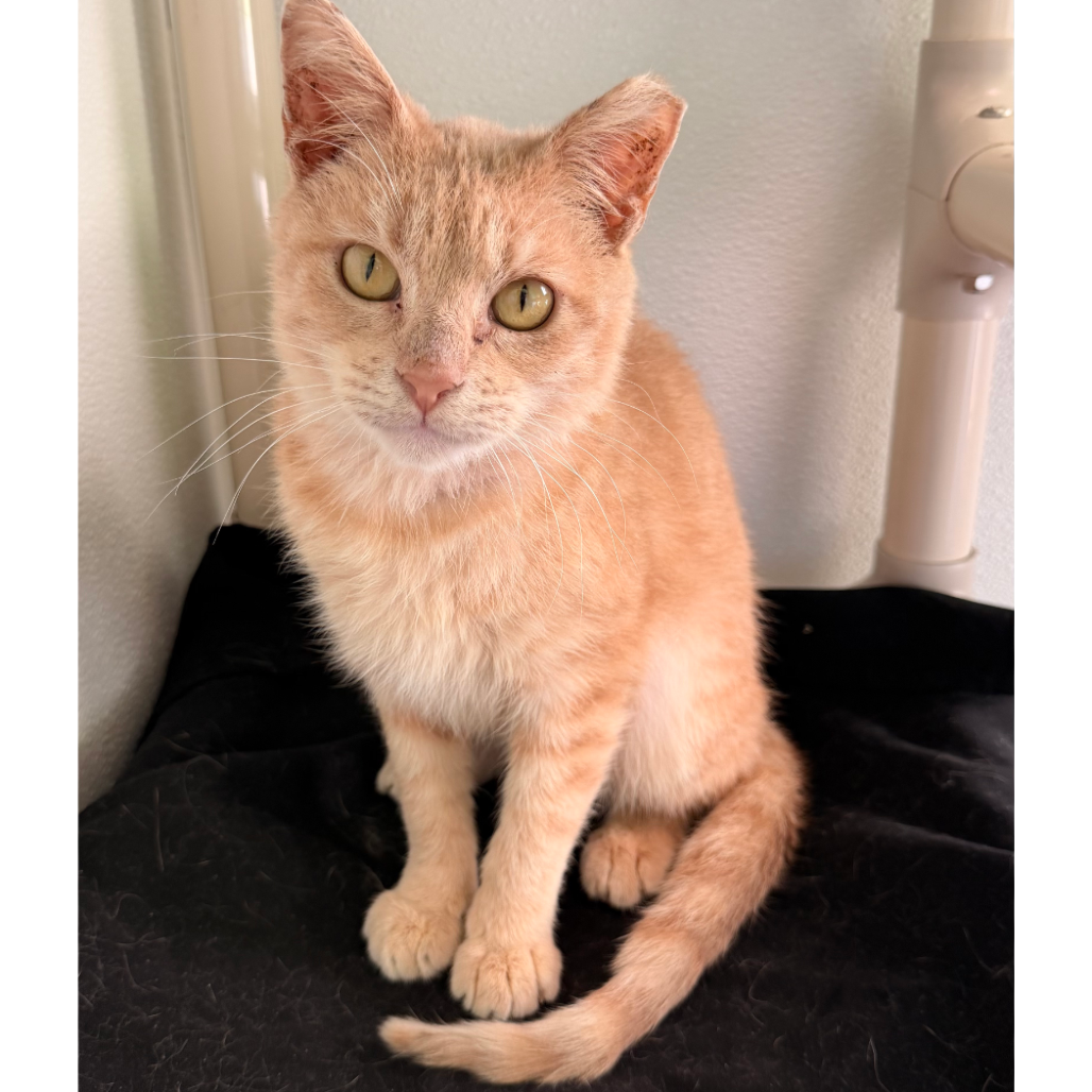 Gare Bear — thumbnail 7