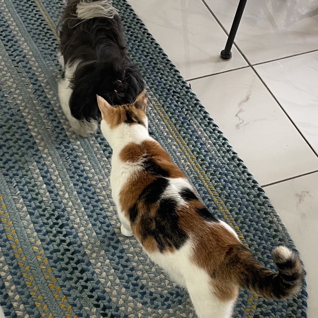 Full body shot of Poppy
