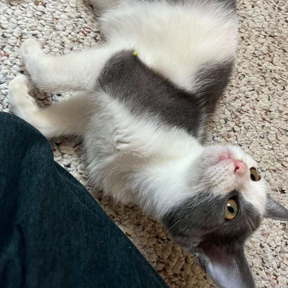 Max
