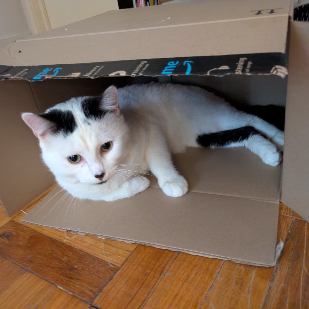 Photo of Norm