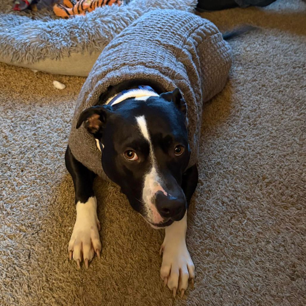 Photo of General Tso 76