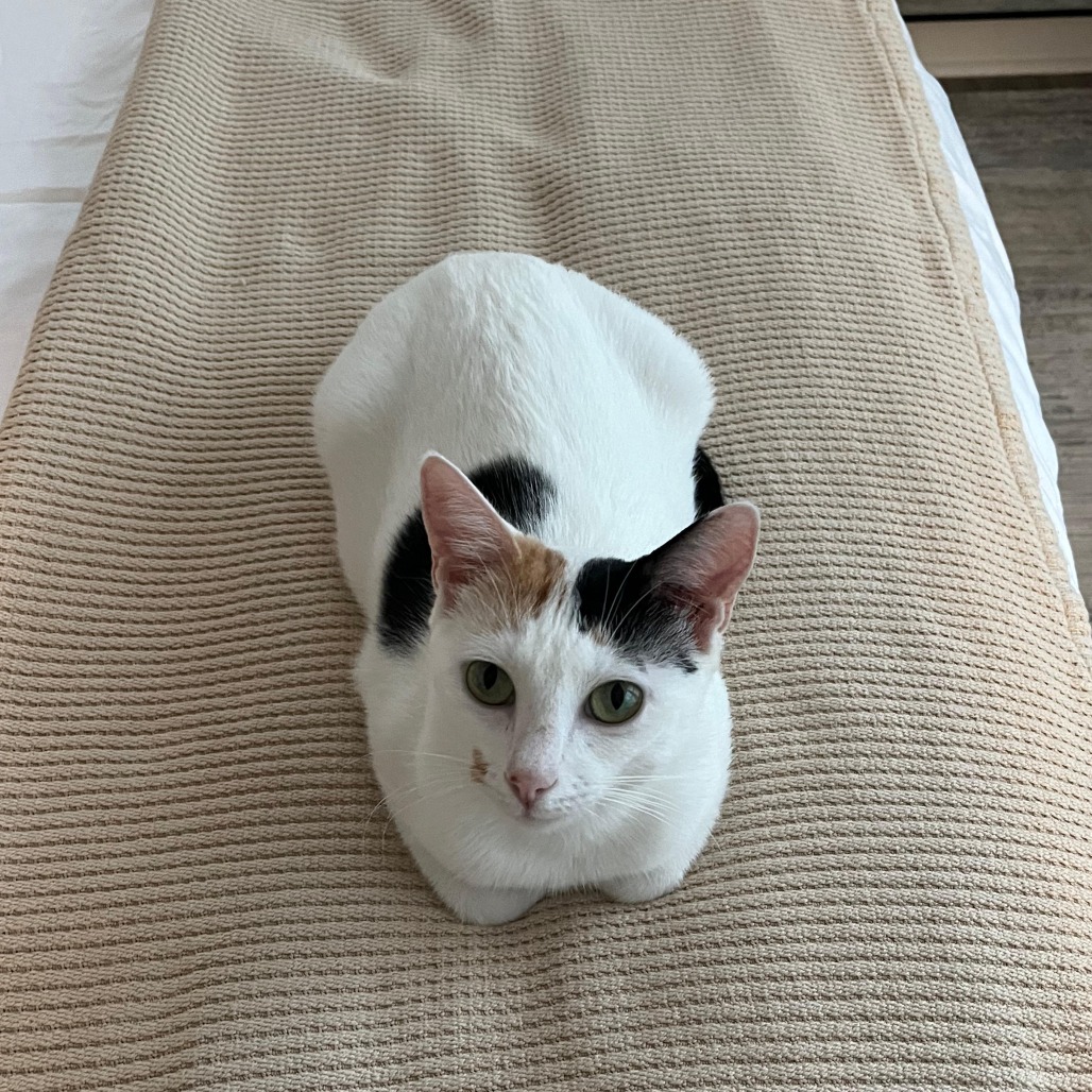 Samantha — thumbnail 9