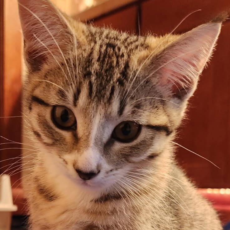 Photo of Tess