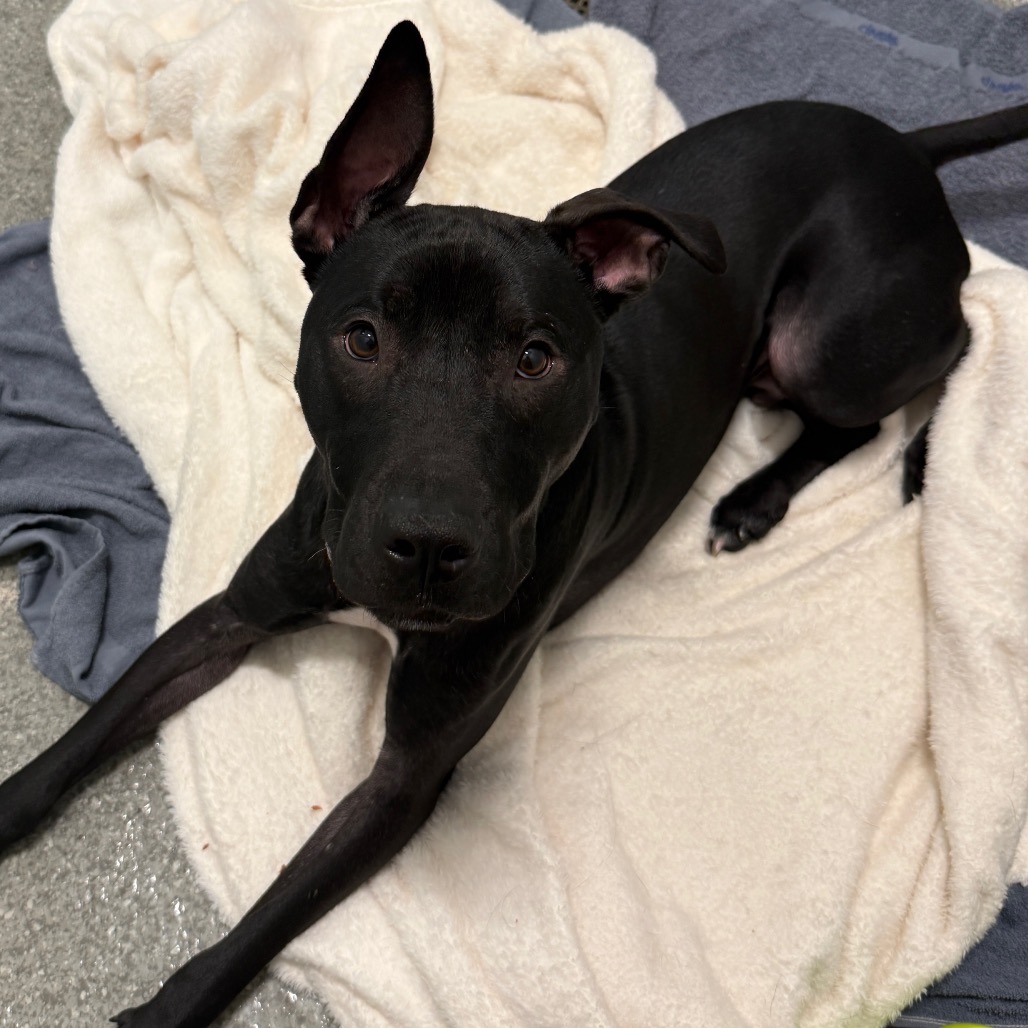 Sundae — thumbnail 5