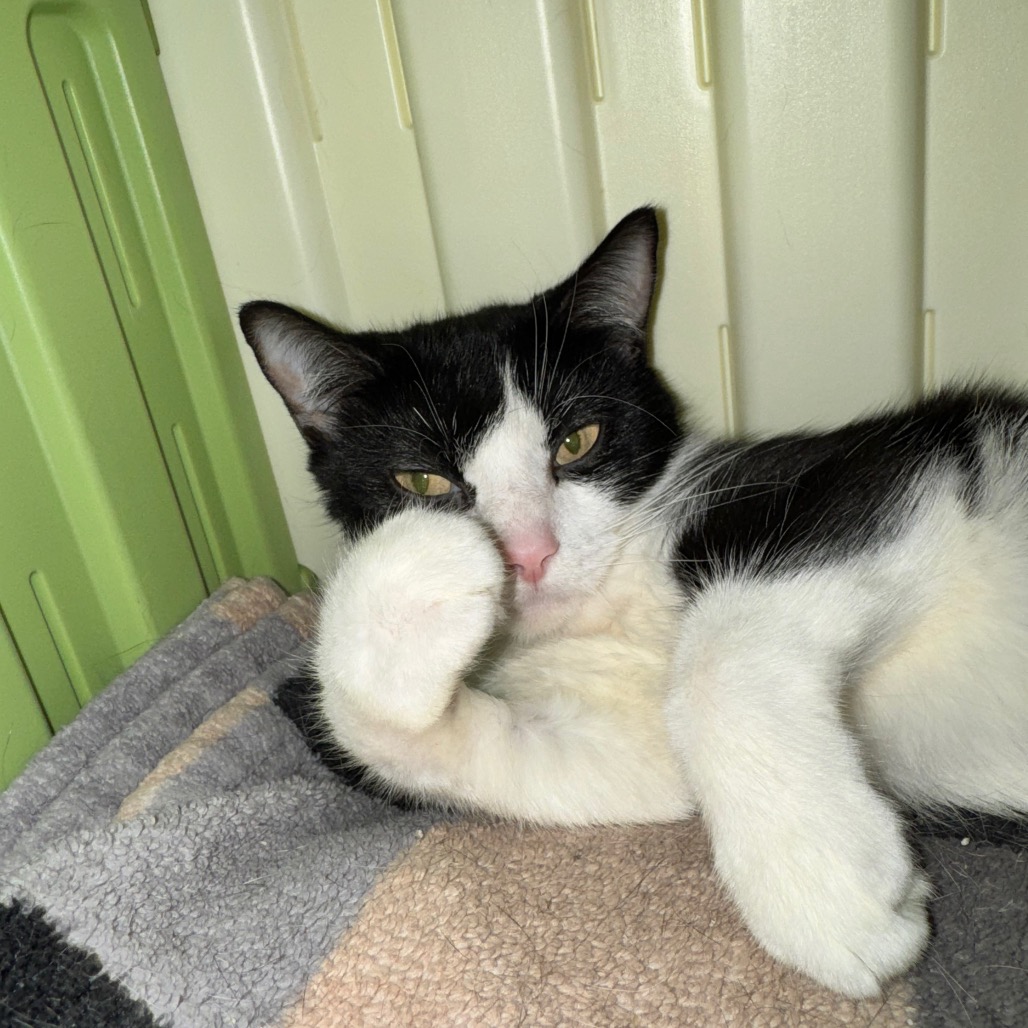 Meep, photo 3