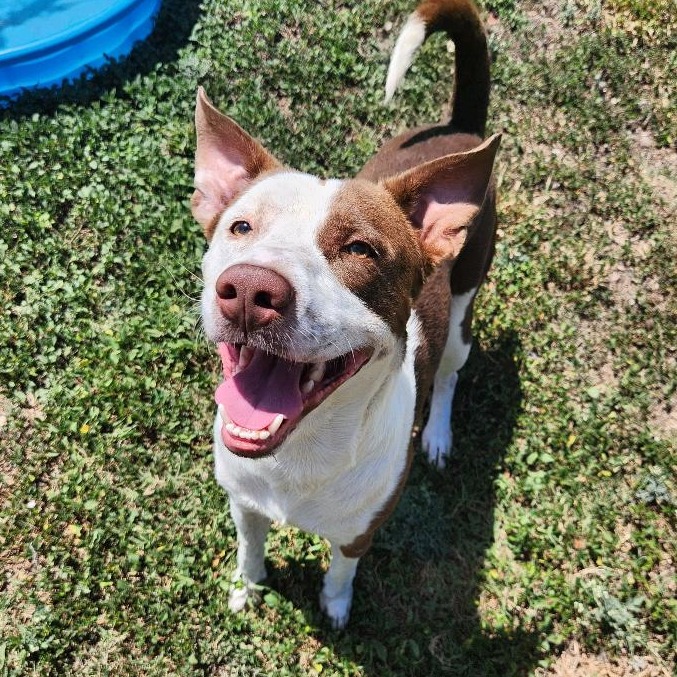 Zeus
