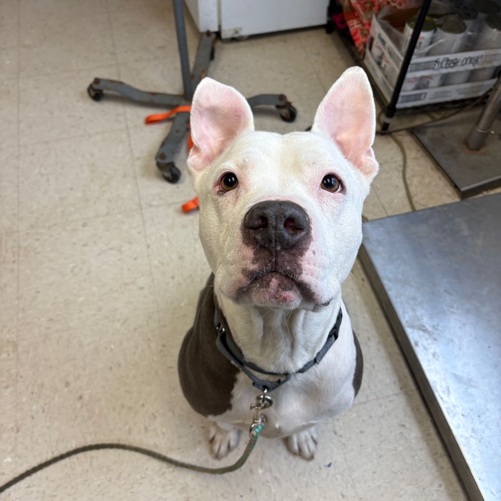 Coleslaw — thumbnail 6