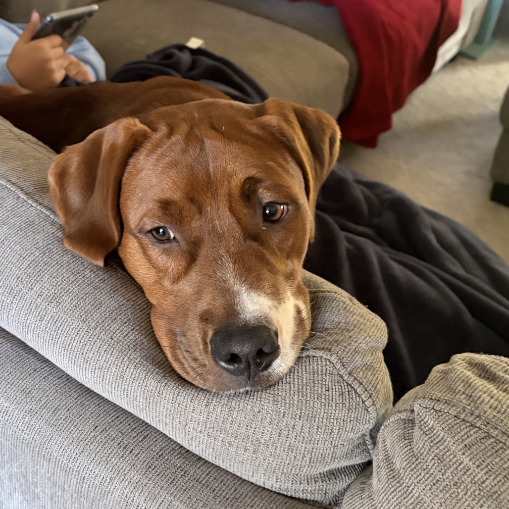 Drex, photo 6