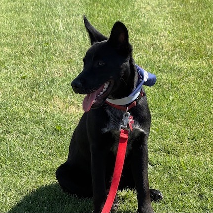 Timber, photo 17